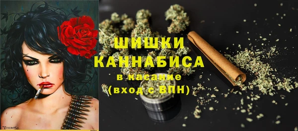 спайс Пересвет
