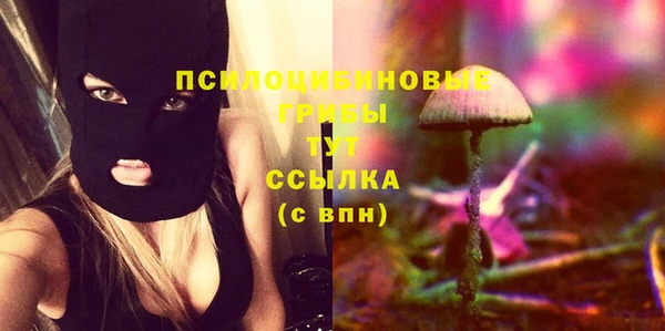 PSILOCYBIN Абинск