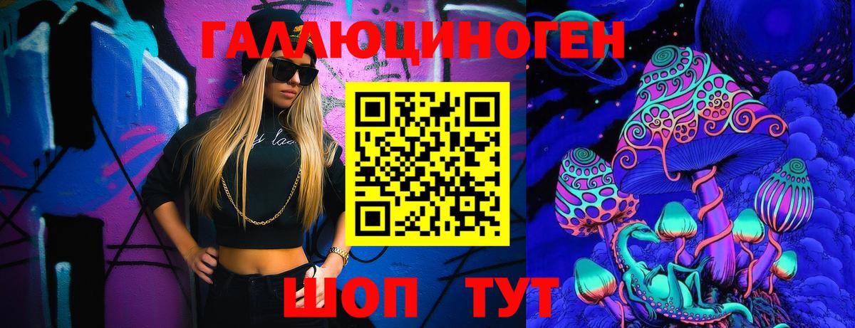 Юрга  Галлюциногенные грибы Cubensis  Вход с VPN 